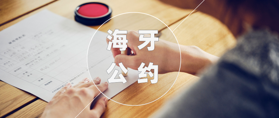海牙公约.png